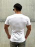 Camiseta Básica Masculina Gola V